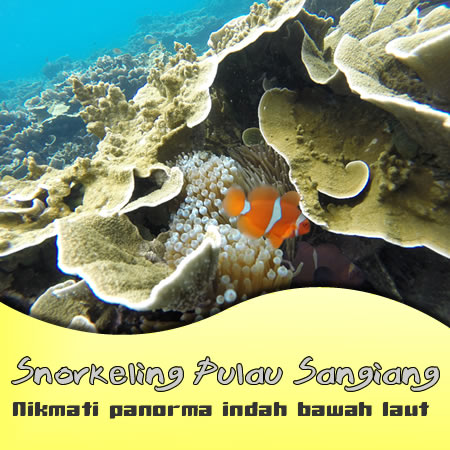 Kegiatansnorkeling pulau sangiang